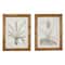 Brown & Cream Vintage Botanical Framed Wall Art Set